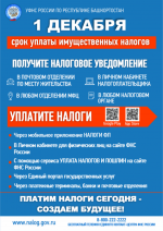 Заплатите имущественные налоги до 1 декабря